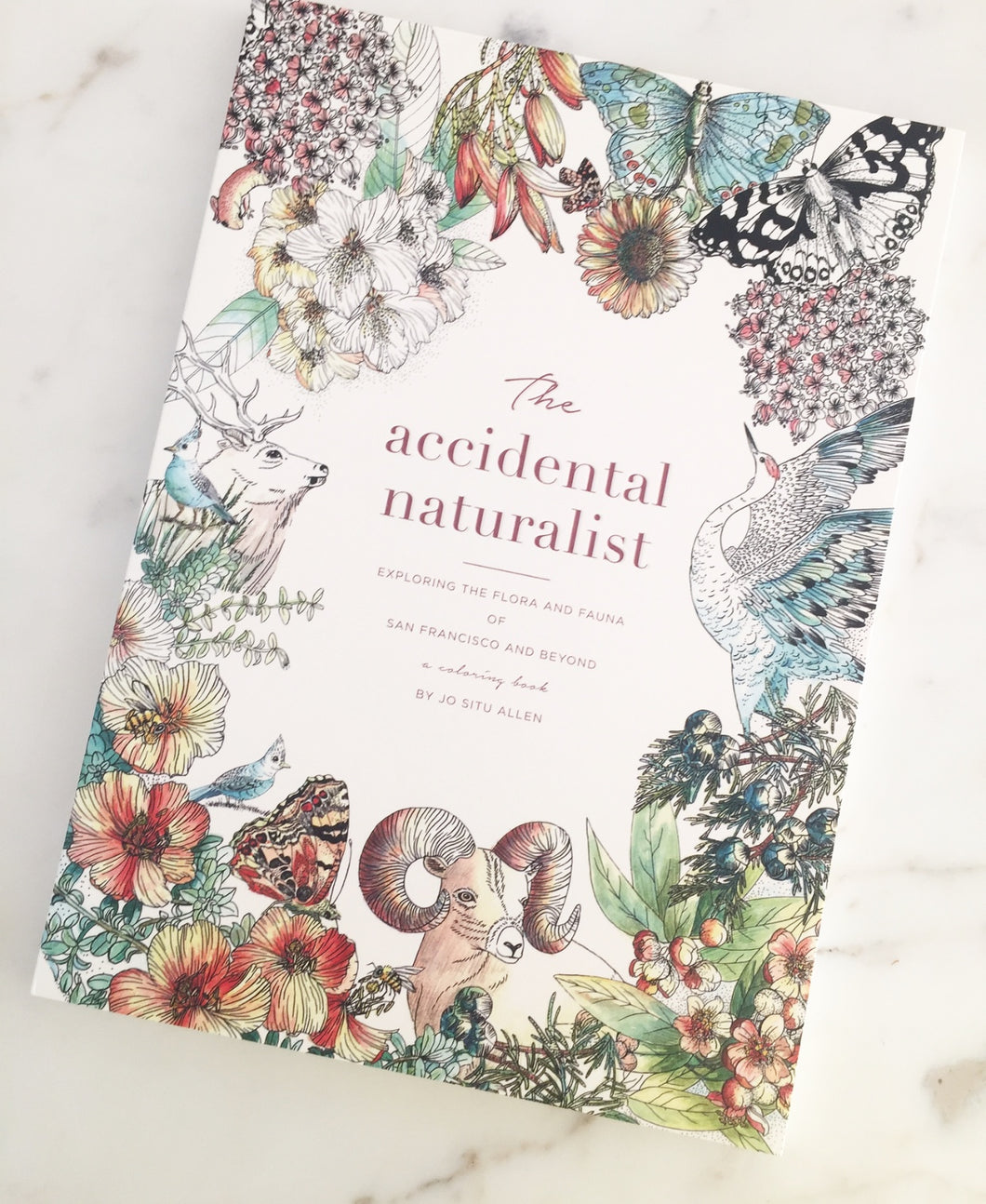 The Accidental Naturalist:  Exploring San Francisco and Beyond